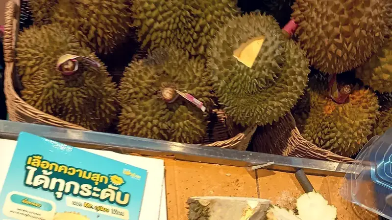Durian: Il Re dei Frutti — Guida Completa a Sapore, Proprietà e Come Conservarlo - Foto 4