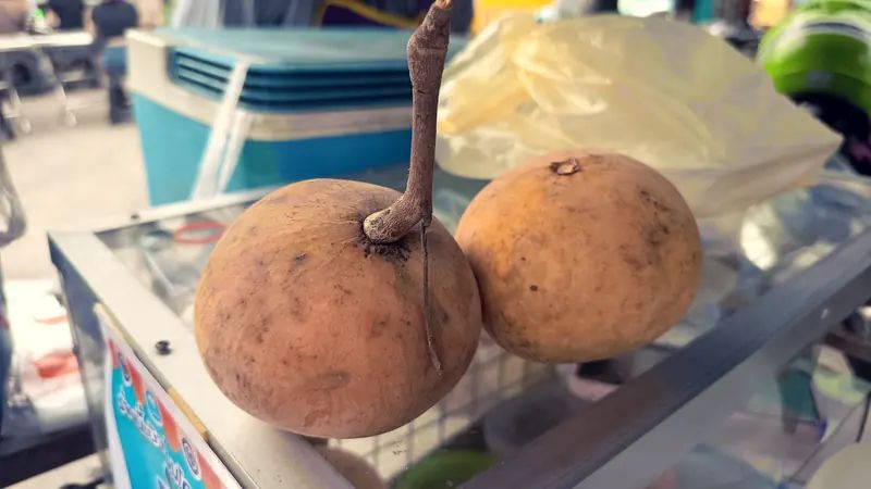 santol-krathon-frutto-tropicale-thai-cucina-fusion-1