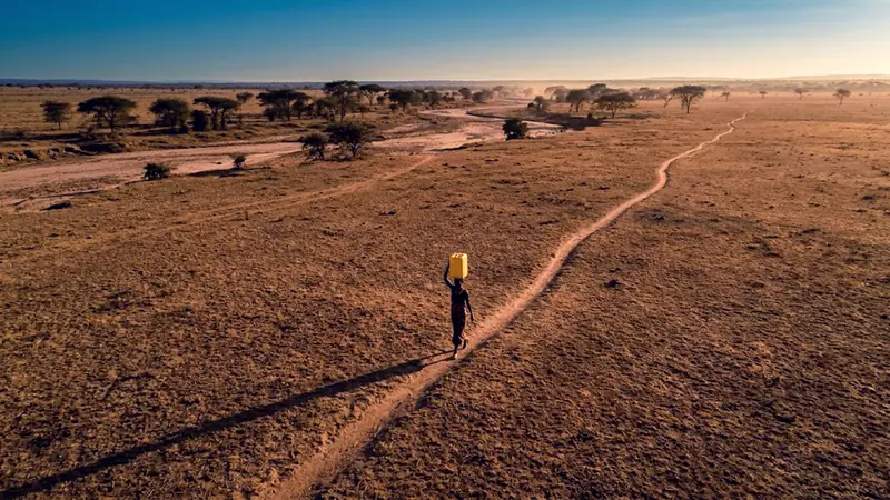 Warka Water: Der Turm, der Trinkwasser aus der Luft gewinnt